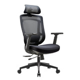 Ergonomic Chair, Office Swivel Chair